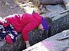 DSC05924.jpg